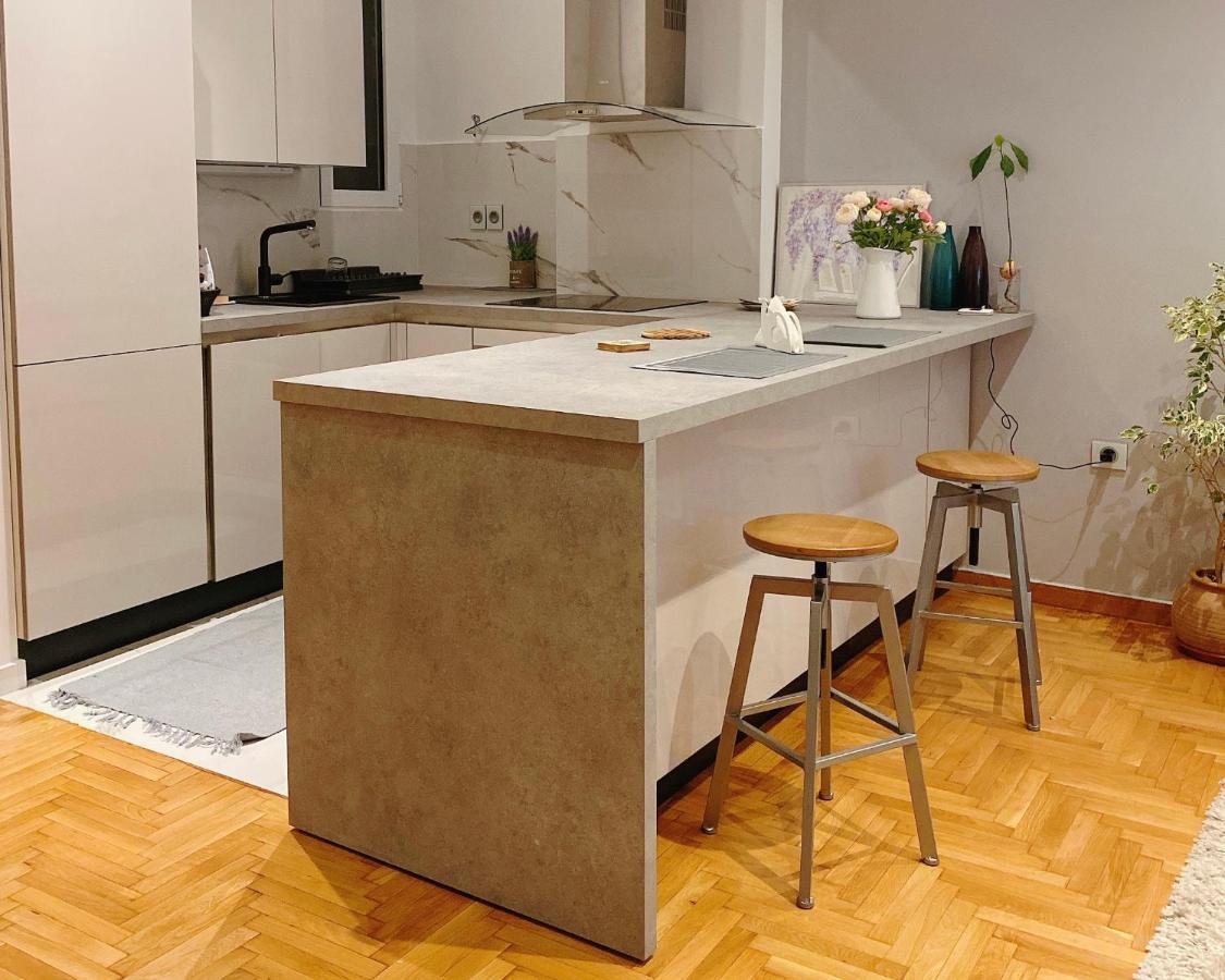 Cozy Newly Renovated 1 Bedroom Apartment In The Heart Of アテネ エクステリア 写真